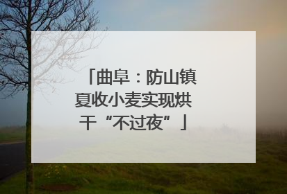 曲阜：防山镇夏收小麦实现烘干“不过夜”