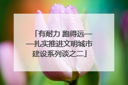 有耐力 跑得远——扎实推进文明城市建设系列谈之二