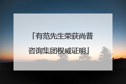 有范先生荣获尚普咨询集团权威证明