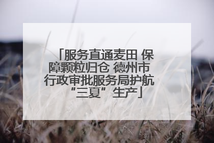 服务直通麦田 保障颗粒归仓 德州市行政审批服务局护航“三夏”生产