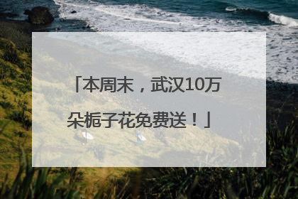 本周末，武汉10万朵栀子花免费送！