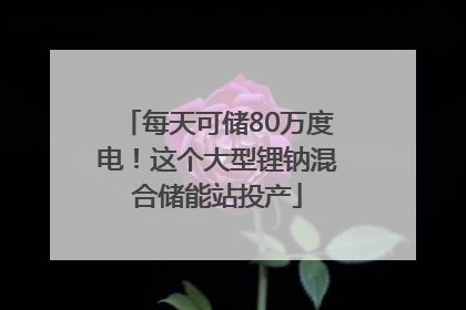 每天可储80万度电！这个大型锂钠混合储能站投产