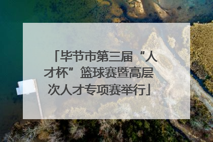 毕节市第三届“人才杯”篮球赛暨高层次人才专项赛举行