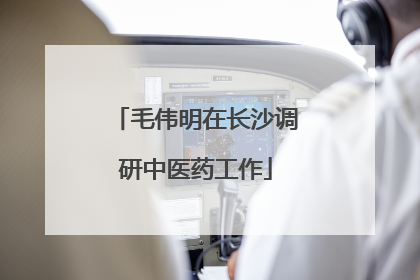 毛伟明在长沙调研中医药工作