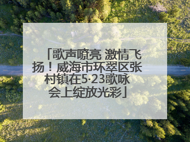 歌声嘹亮 激情飞扬！威海市环翠区张村镇在5·23歌咏会上绽放光彩