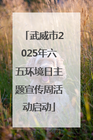 武威市2025年六五环境日主题宣传周活动启动