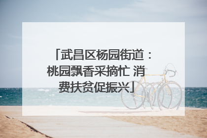 武昌区杨园街道：桃园飘香采摘忙 消费扶贫促振兴