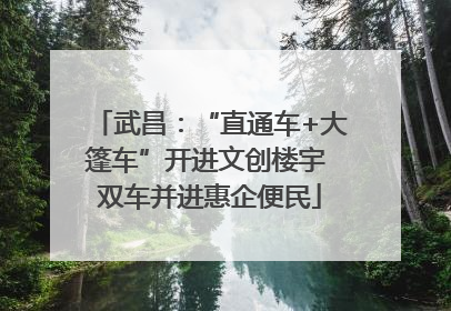 武昌：“直通车+大篷车”开进文创楼宇 双车并进惠企便民