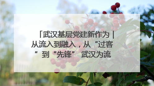 武汉基层党建新作为｜从流入到融入，从“过客”到“先锋” 武汉为流动党员筑起温暖之家