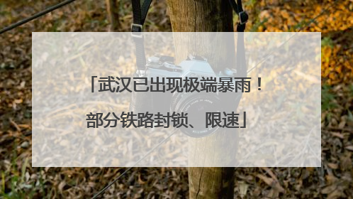 武汉已出现极端暴雨！部分铁路封锁、限速