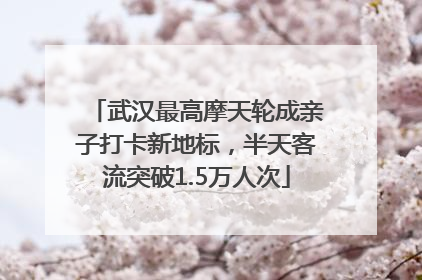 武汉最高摩天轮成亲子打卡新地标，半天客流突破1.5万人次