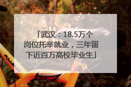 武汉：18.5万个岗位托举就业，三年留下近百万高校毕业生