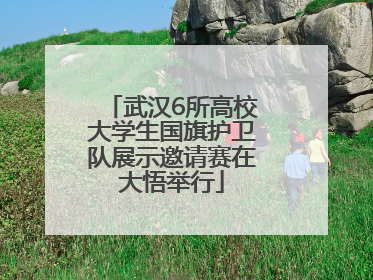 武汉6所高校大学生国旗护卫队展示邀请赛在大悟举行