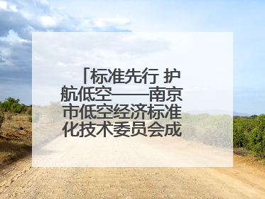 标准先行 护航低空——南京市低空经济标准化技术委员会成立大会召开
