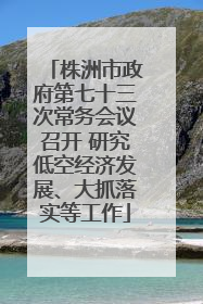 株洲市政府第七十三次常务会议召开 研究低空经济发展、大抓落实等工作
