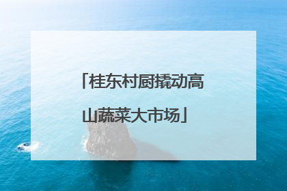 桂东村厨撬动高山蔬菜大市场