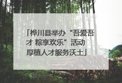 桦川县举办“吾爱吾才 粽享欢乐”活动 厚植人才服务沃土