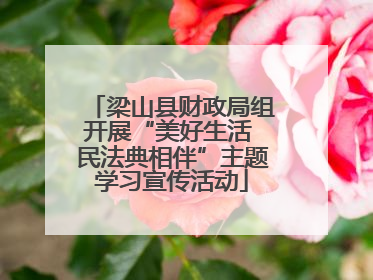 梁山县财政局组开展“美好生活 民法典相伴”主题学习宣传活动