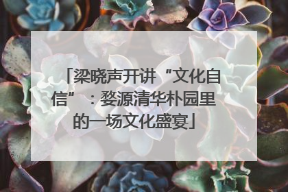 梁晓声开讲“文化自信”：婺源清华朴园里的一场文化盛宴