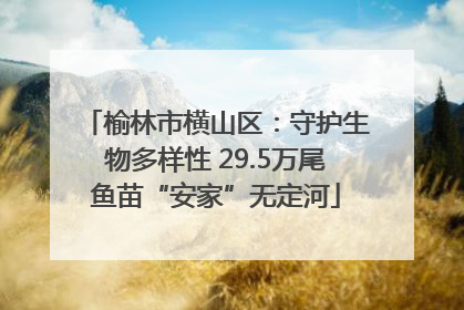 榆林市横山区：守护生物多样性 29.5万尾鱼苗“安家”无定河