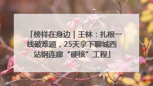 榜样在身边｜王林：扎根一线破难题，25天拿下聊城西站钢连廊“硬核”工程