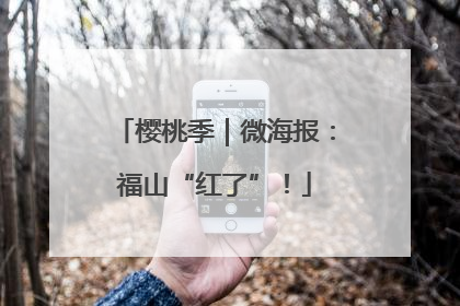 樱桃季｜微海报：福山“红了”！