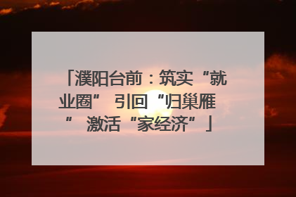 濮阳台前：筑实“就业圈” 引回“归巢雁” 激活“家经济”