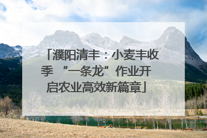 濮阳清丰：小麦丰收季 “一条龙”作业开启农业高效新篇章