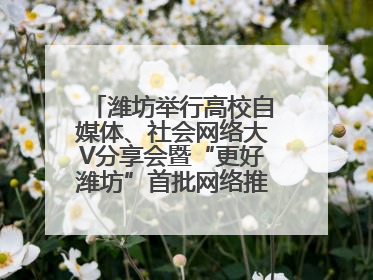 潍坊举行高校自媒体、社会网络大V分享会暨“更好潍坊”首批网络推介官聘任仪式
