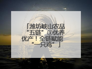 潍坊峡山农品“五链”③优养优产！全链赋能“一只鸡”