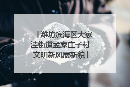 潍坊滨海区大家洼街道孟家庄子村文明新风展新貌