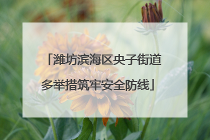 潍坊滨海区央子街道多举措筑牢安全防线