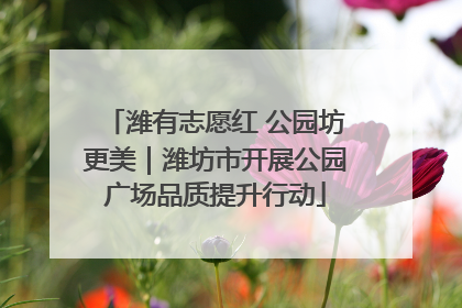 潍有志愿红 公园坊更美｜潍坊市开展公园广场品质提升行动