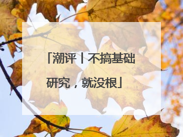 潮评丨不搞基础研究，就没根
