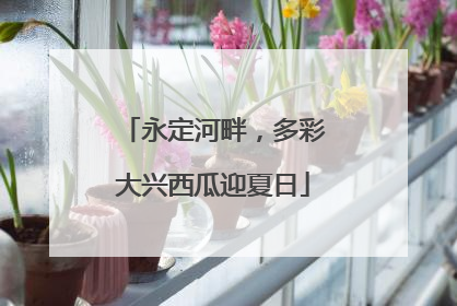 永定河畔，多彩大兴西瓜迎夏日