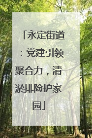 永定街道：党建引领聚合力，清淤排险护家园