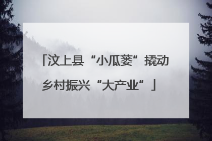 汶上县“小瓜蒌”撬动乡村振兴“大产业”