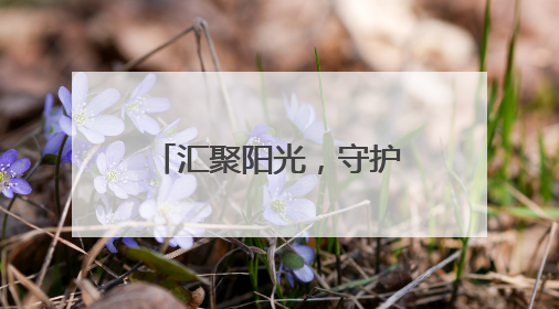 汇聚阳光，守护花开！2025年全国高考各地护航行动持续展开