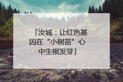 汝城：让红色基因在“小树苗”心中生根发芽