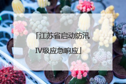 江苏省启动防汛IV级应急响应
