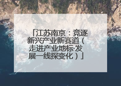 江苏南京：竞逐新兴产业新赛道（走进产业地标·发展一线探变化）