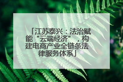江苏泰兴：法治赋能“云端经济”，构建电商产业全链条法律服务体系