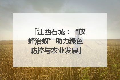 江西石城：“放蜂治蚜”助力绿色防控与农业发展
