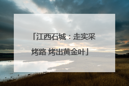 江西石城：走实采烤路 烤出黄金叶