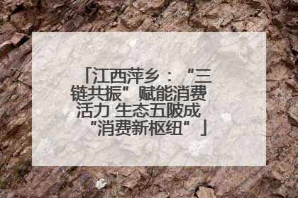 江西萍乡：“三链共振”赋能消费活力 生态五陂成“消费新枢纽”