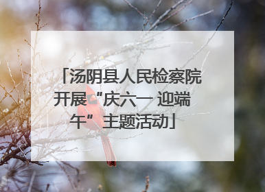 汤阴县人民检察院开展“庆六一 迎端午”主题活动