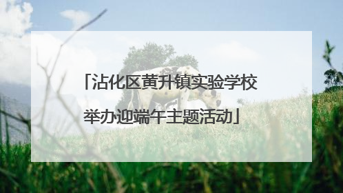 沾化区黄升镇实验学校举办迎端午主题活动
