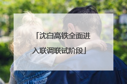 沈白高铁全面进入联调联试阶段