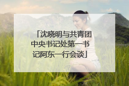 沈晓明与共青团中央书记处第一书记阿东一行会谈
