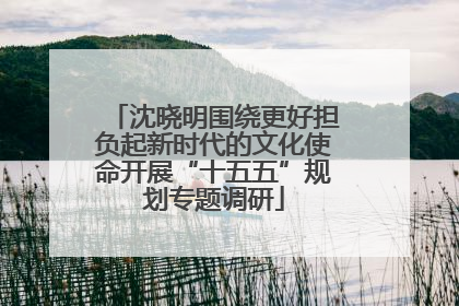 沈晓明围绕更好担负起新时代的文化使命开展“十五五”规划专题调研